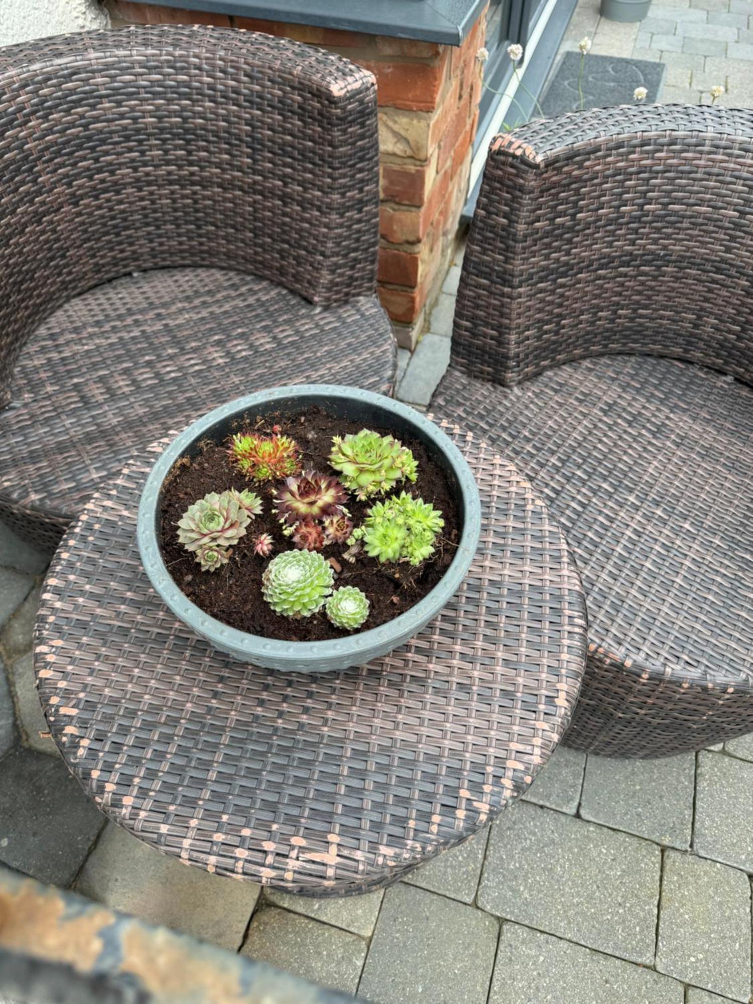 Beach House Apartment On Ground Floor With Sea View - Pet Friendly Cleveleys Zewnętrze zdjęcie